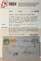 RR ! 3xGRENZRAYON STRUBEL1861GENÉVE>THONON FRANCE, ATTEST
