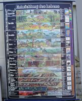 Rollkarte Vintage Schulwandbild Entwicklung des Lebens