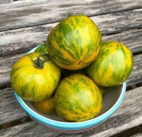 50 Samen TOMATE GREEN ZEBRA  Alte Sorte