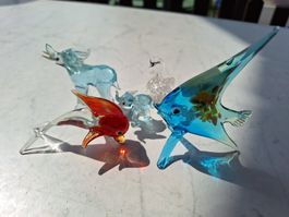 5 STK GLASTIERE ( 2X MURANO )