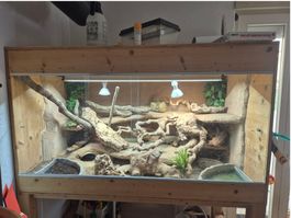 Wüstenterrarium 150 × 80 × 90 cm | Rückwand