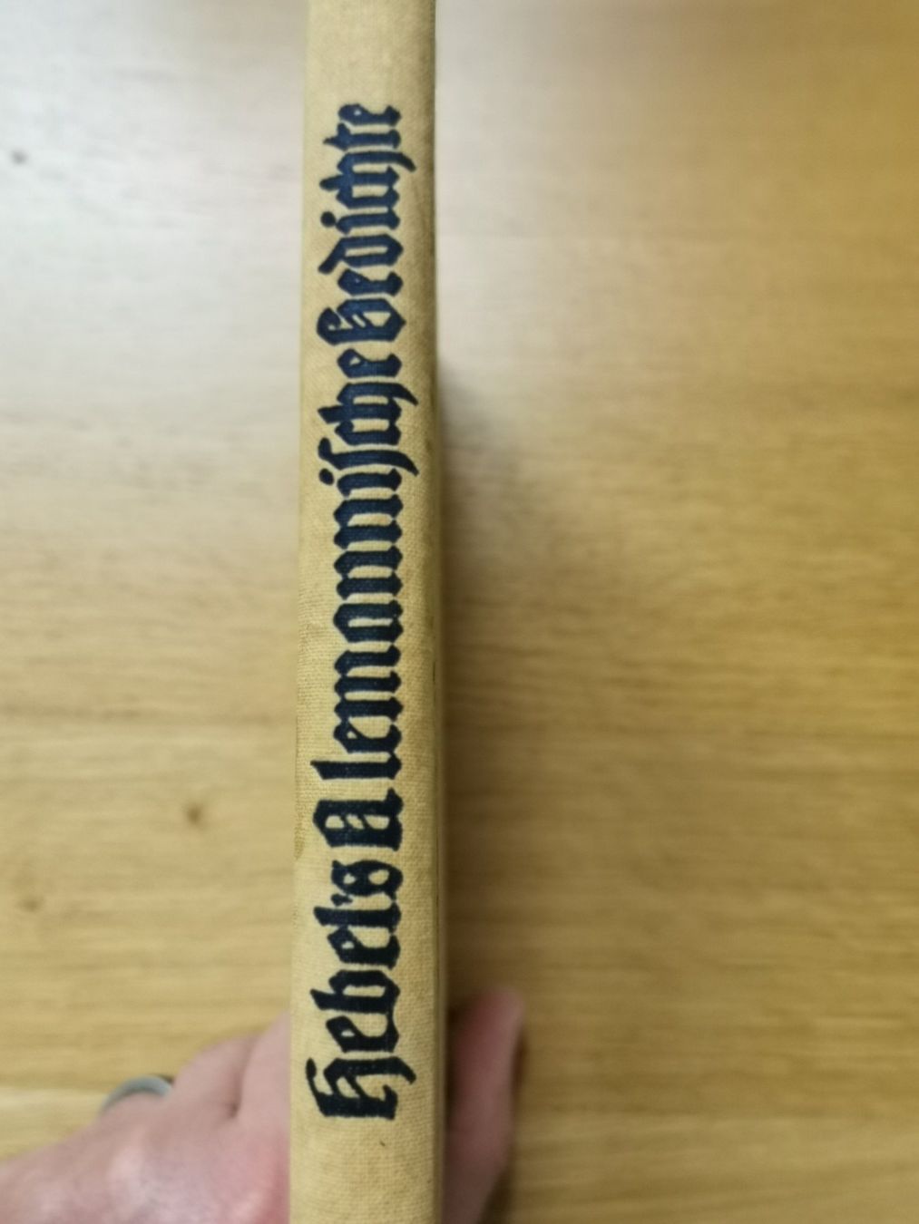 Libri: Hebel: Alemannische Gedichte, 1923 – Usato da Hohenrain venduto da mr10