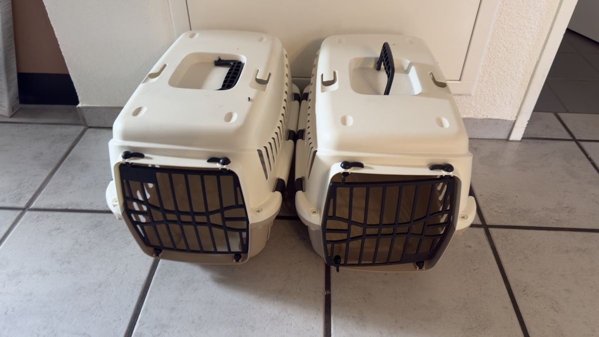 Gabbie, trasporto & Sicurezza: Katzen Transportbox – Nuovo (secondo la descrizione) da Bennwil venduto da angeloarnold