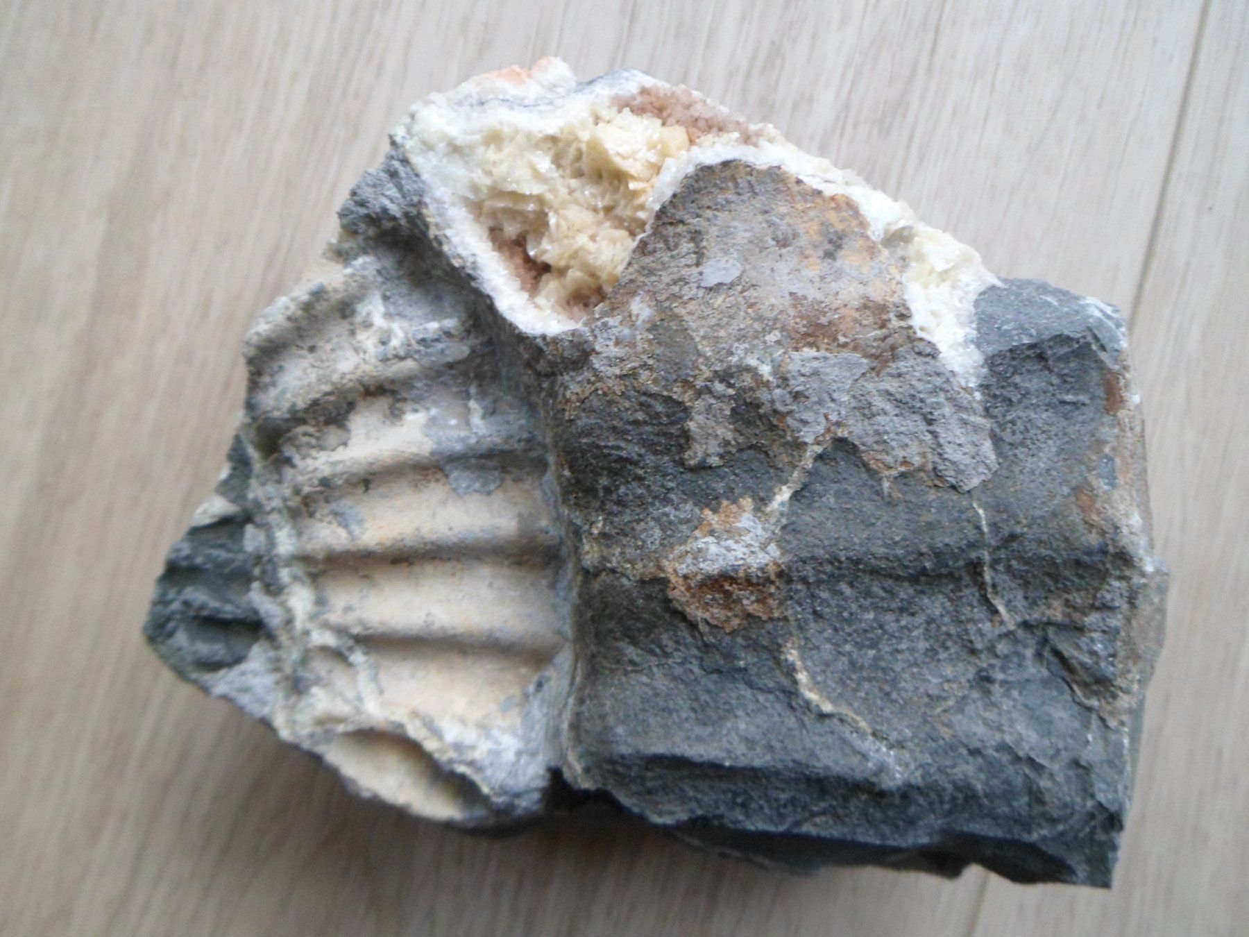 Fossilien: Calcit + Ankerit / Dolomit Schweiz – Gebraucht aus Affoltern am Albis von Fossil60