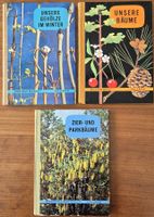 HALLWAG Taschenbücher: Unsere Bäume, Gehölze, Zier/Parkbäume