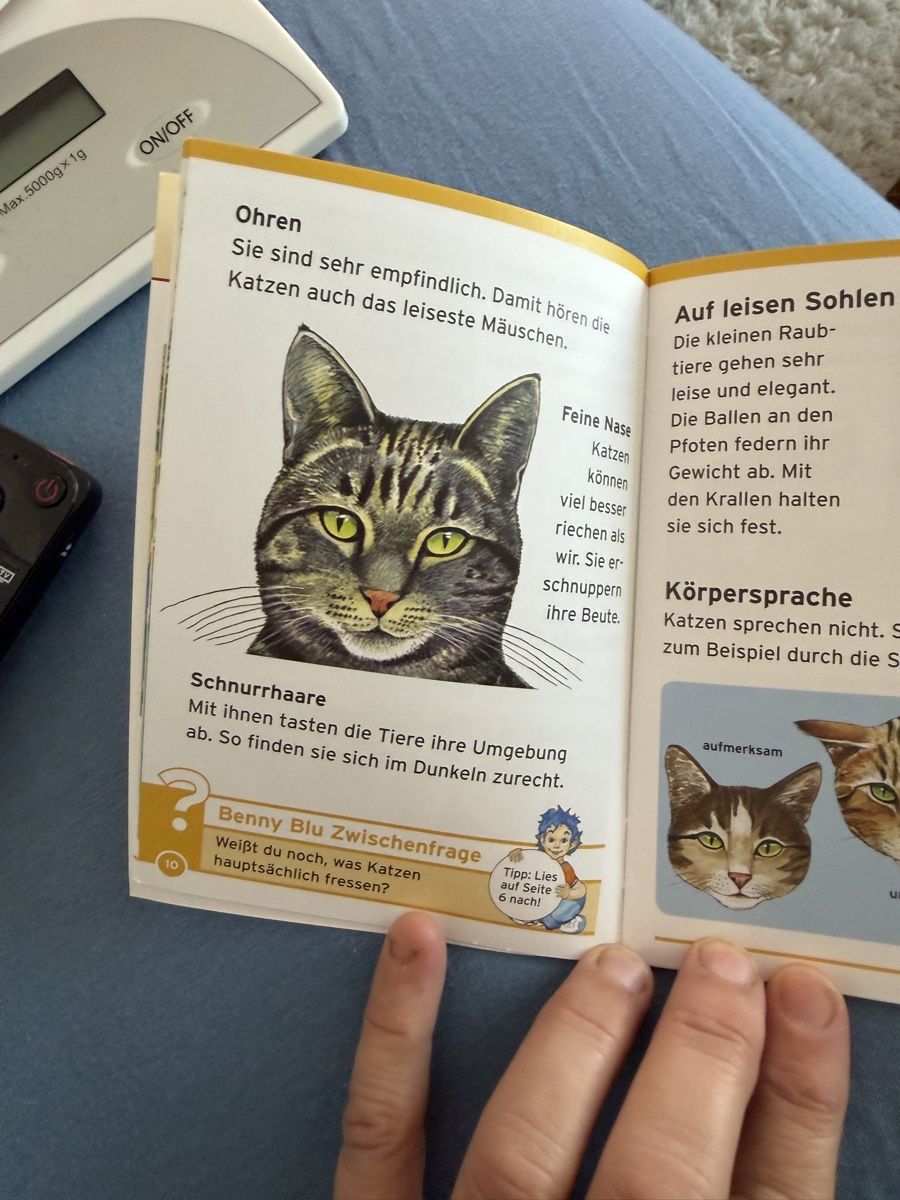 Bücher: Kinderleicht Wissen-Katzen - schnurren oder Kratzen – Gebraucht aus Aarau von Tam6 6
