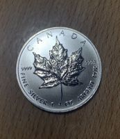 Maple Leaf 2013