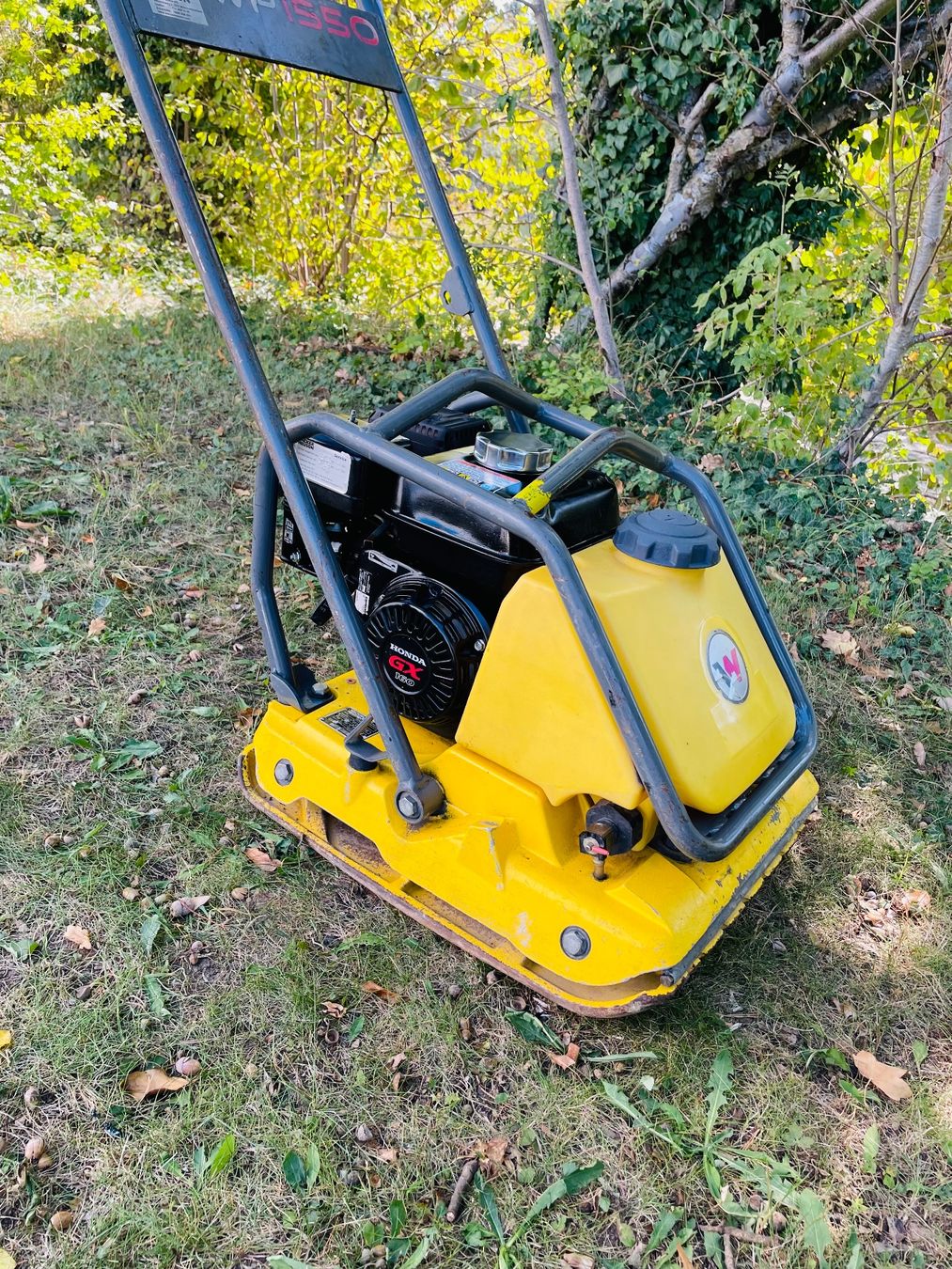 Wacker Neuson Tutte le macchine: Vibroplatte Rüttelplatte Wacker Neuson / Honda – Usato da Dietikon venduto da L.L_GmbH 1