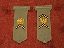 2 Rangabzeichen,  Festung Wacht Korps ,FWK
