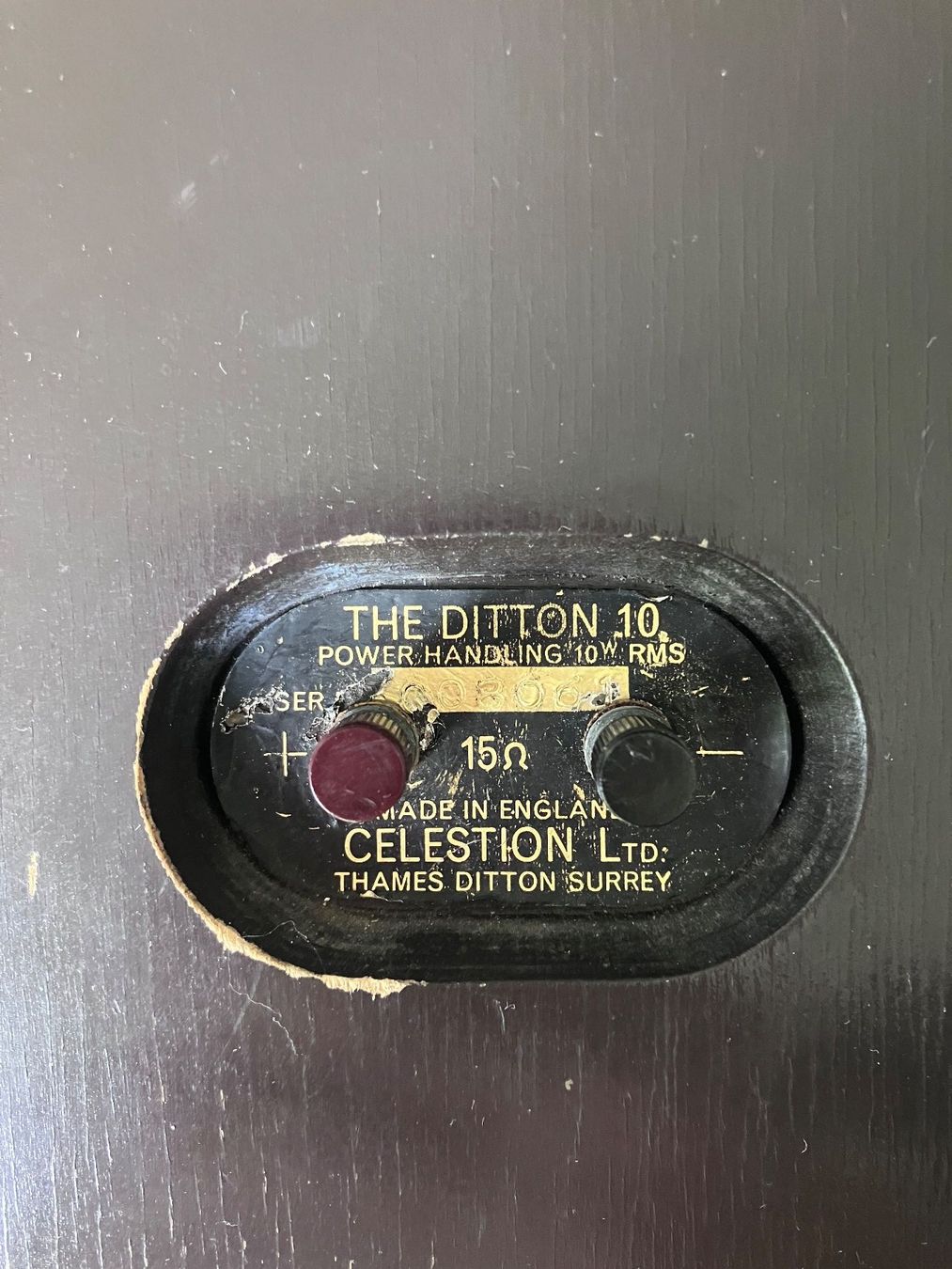 Haut-parleurs: Celestion Ditton 10 Monitore (Seltene 15-Ohm Version) – D'occasion à Luzern par Madvibe 6