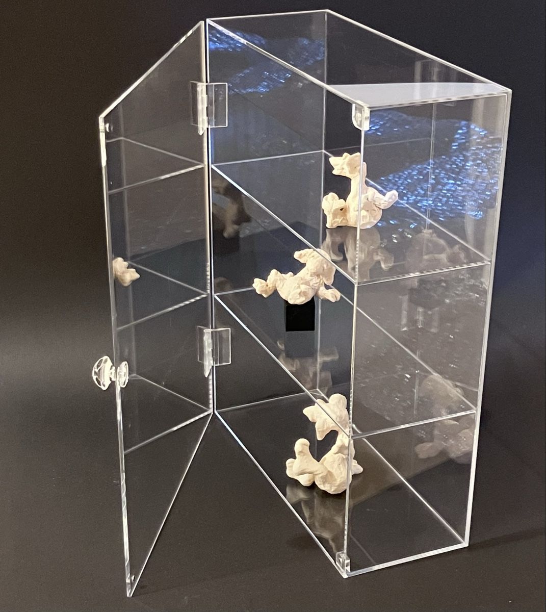 Vetrine: Neue Acrylvitrine (4cm feiner Kratzer in Front) – Nuovo e nell'imballaggio originale da Bremgarten AG venduto da merlindimi 1