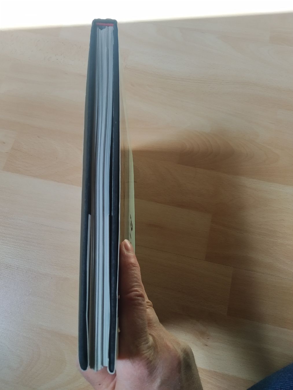 Bücher: Livre d'art rare - Albert Enz – Gebraucht aus Le Locle von Oldthingslover 7