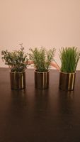 3 x kleine künstliche Pflanzen in goldenen Töpfchen. H 17cm