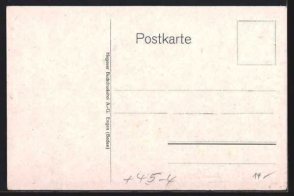 Cartoline postali: Engen i. B., XXVI. Hegauer Gauturnfest,  – Usato da Berlin venduto da bartko-reher 1