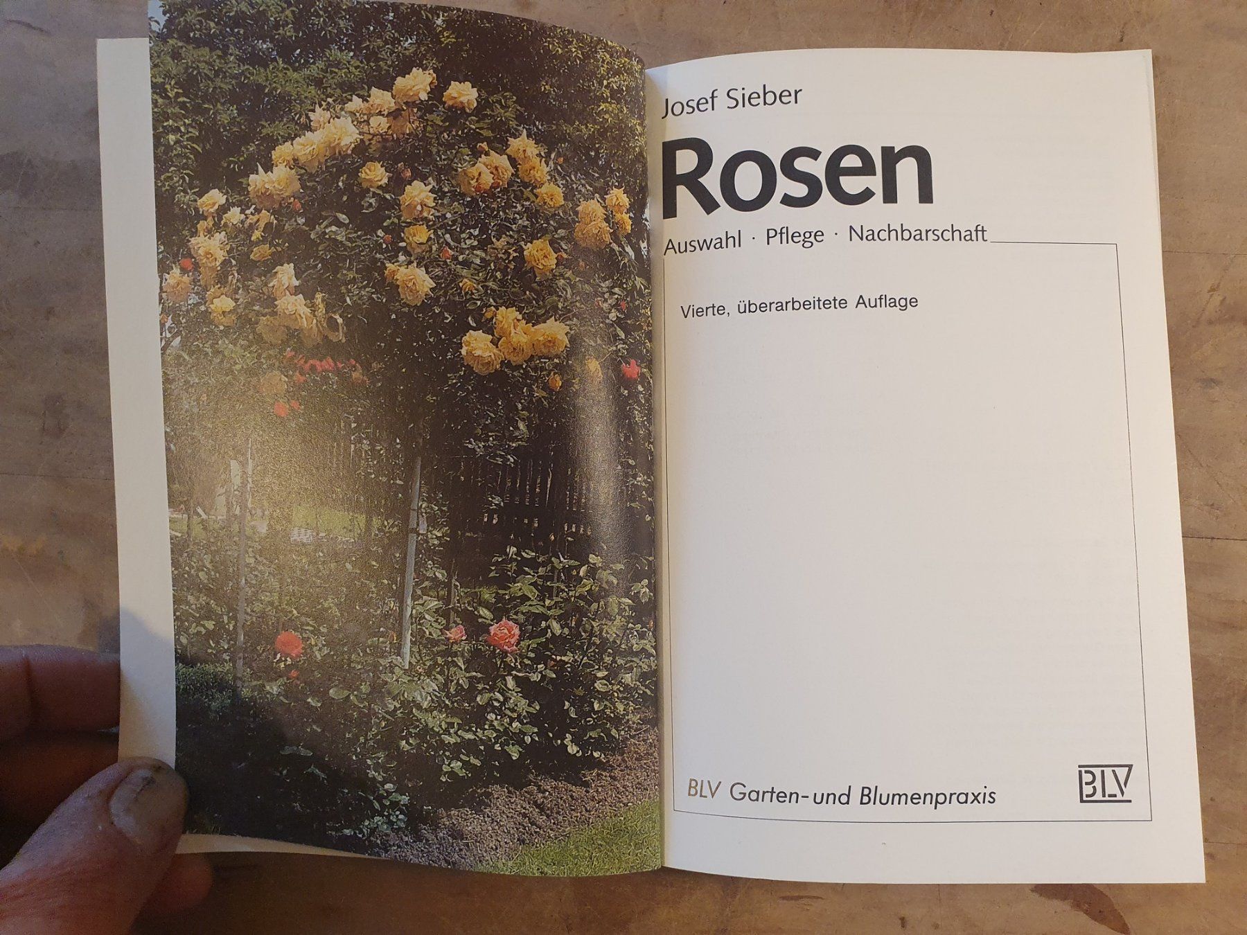 Libri: Rosen Josef Sieber BLV – Usato da Zürich venduto da loosebone 1