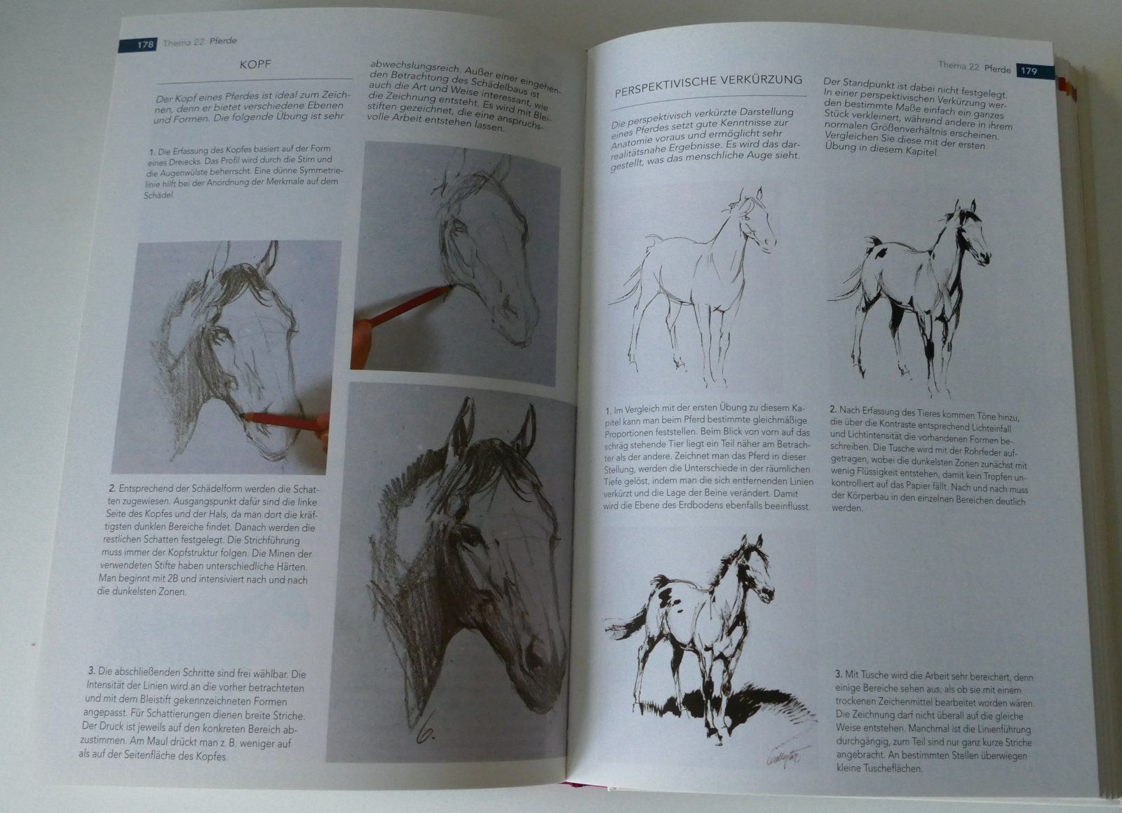 Livres: Buch – D'occasion à Dietlikon par kes_j6d7 5