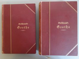 Goethe. Sein Leben und seine Werke. Dr. Albert Bielschowsky