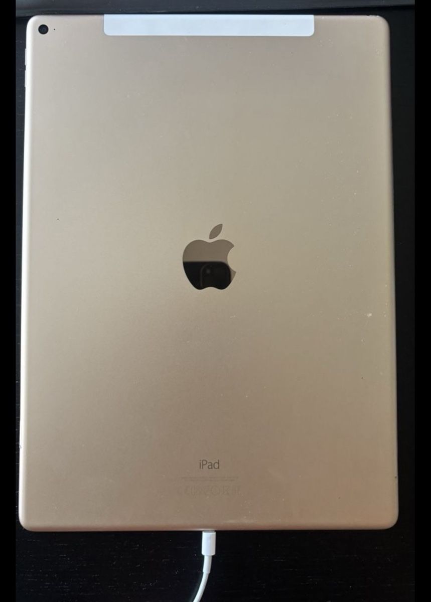 Apple Tablet PC: Apple iPad Pro 1st Gen Gold – Usato da Binz venduto da cat_8k75 1