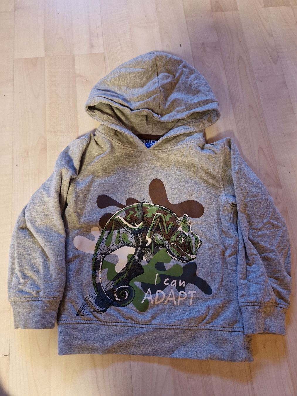 Pullover & Sweatshirts: 2 Kapuzen Pulli Gr.110/116 . – Gebraucht aus Disentis/Mustér von epa_862v 2