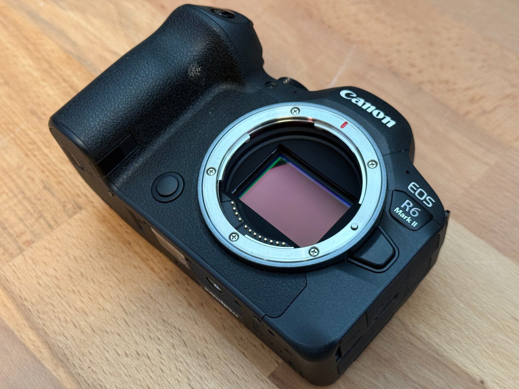 Canon Fotocamera: Canon R6 Mark II – Usato da Zürich venduto da Midpoint 3