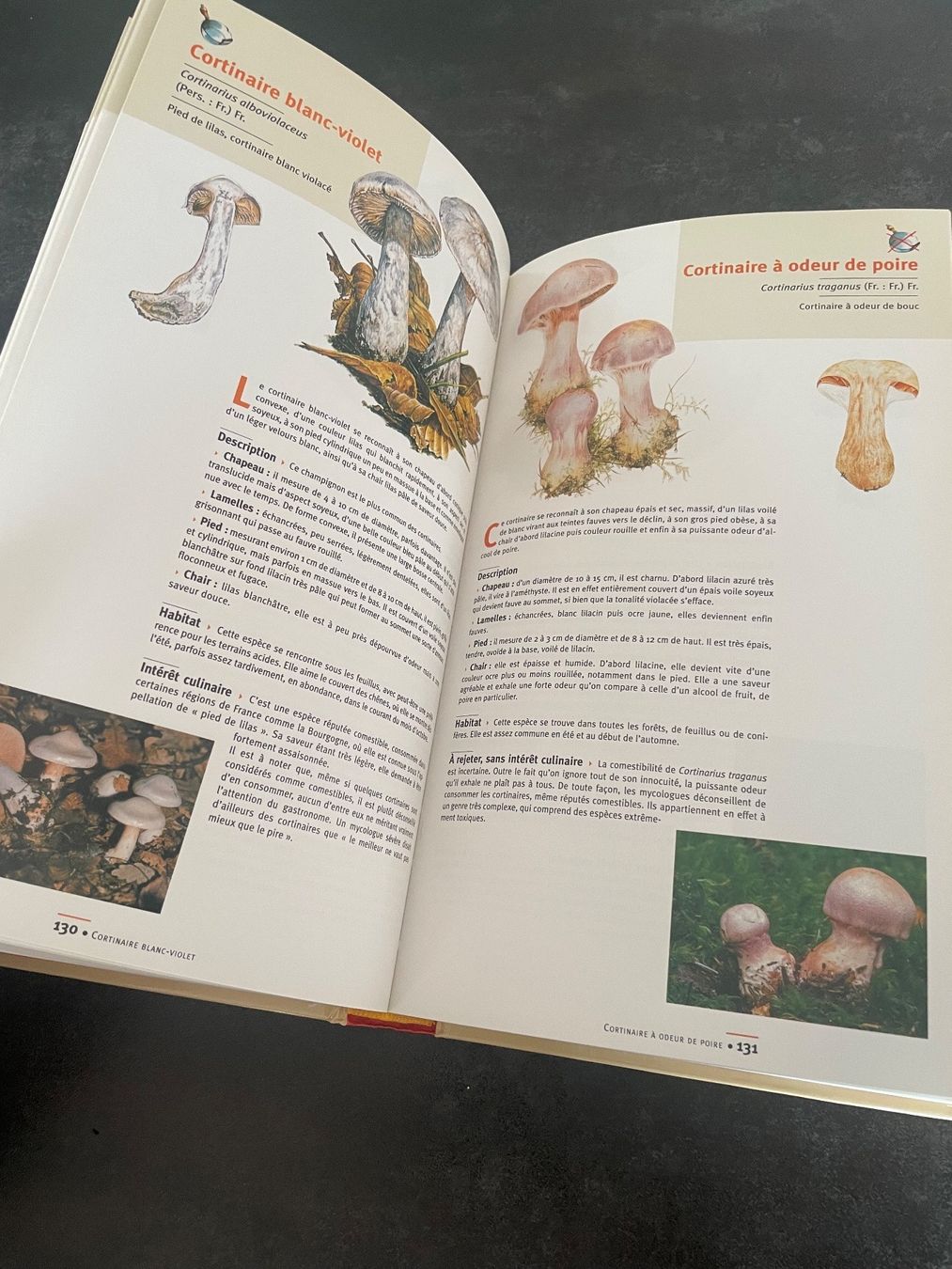 Libri: Livre Guide des Champignons – Usato da Vallamand venduto da Bricbracbroc82 8