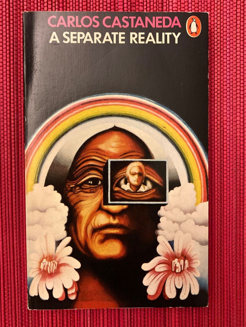 Libri: Carlos Castaneda, A Separate Reality – Usato da Baden venduto da Yoyo1