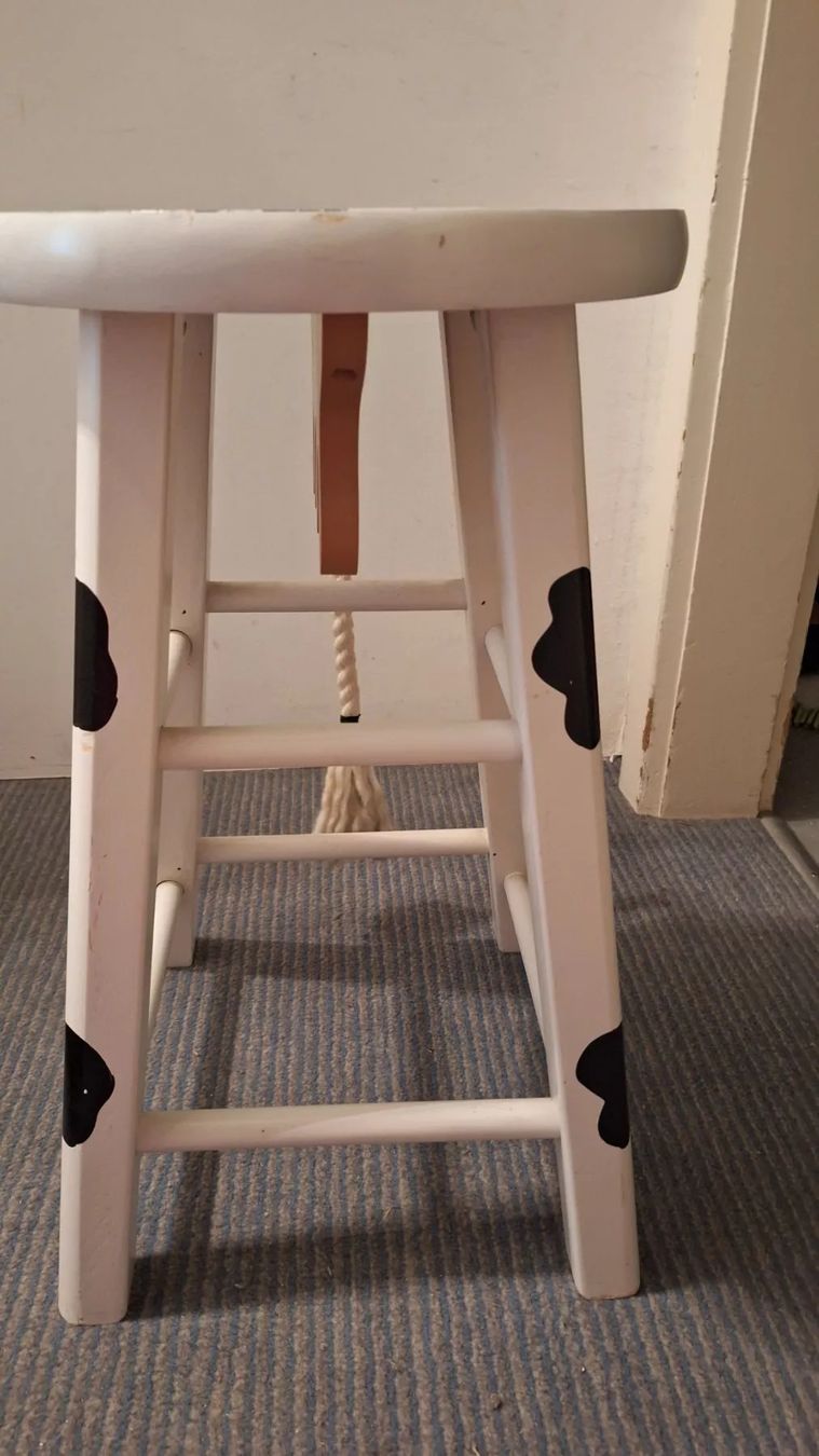 Sgabelli: Spezieller Hocker , Kuhhocker – Usato da Arlesheim venduto da shopradl 2