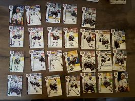 Sportzoo GSHC Serie 1 24/25