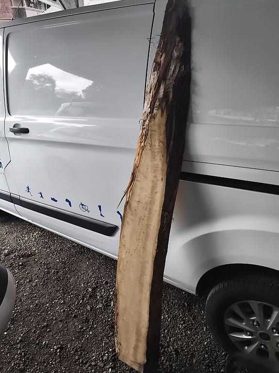 Articoli in legno: Bohle Brett Nussbaum (Aussen) – Usato da Thörigen venduto da lunafix 1