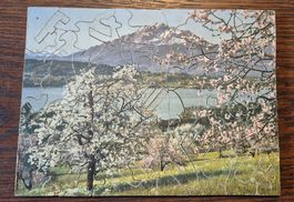 sehr spezielles antikes Flumo Holz Puzzle Teile sind Figuren