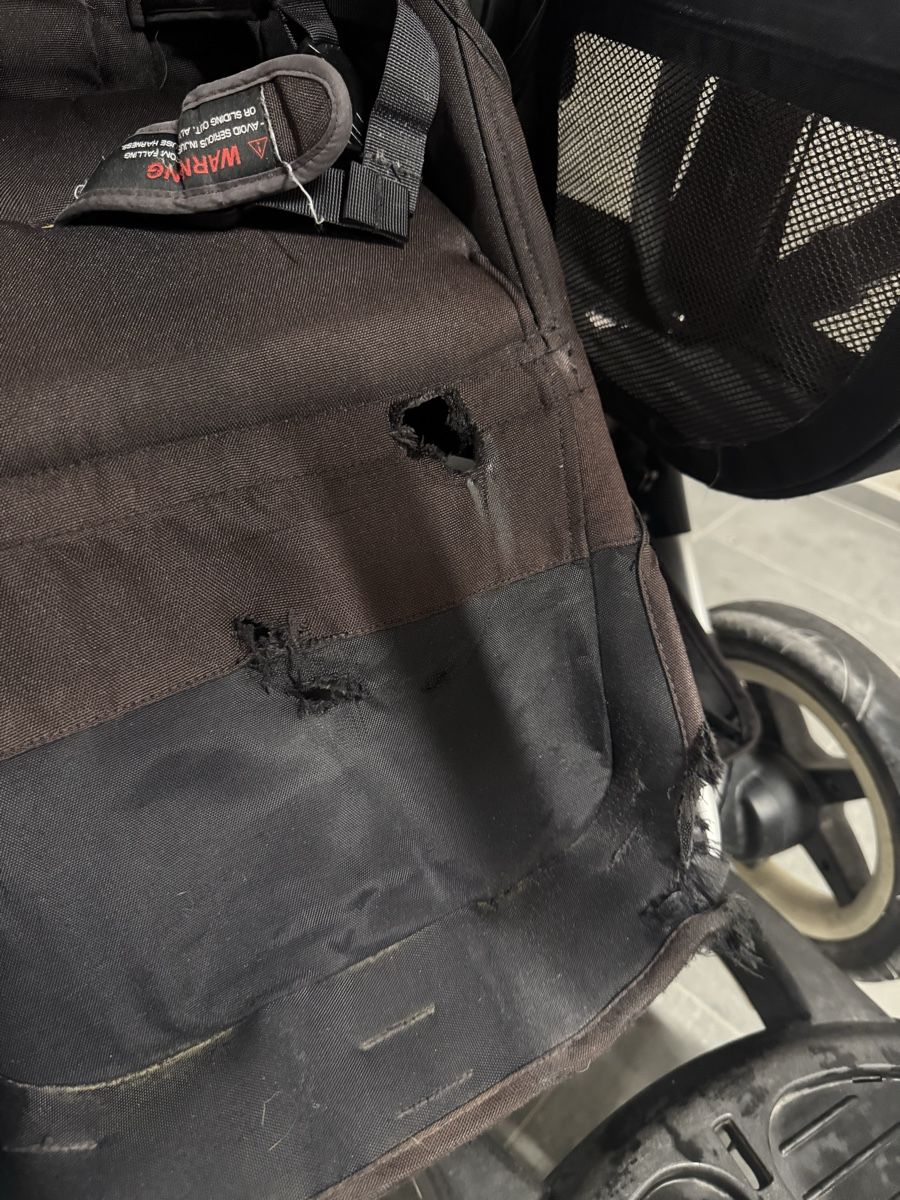 Bugaboo Kinderwagen: Bugaboo Donkey Geschwisterwagen  – Gebraucht aus Basel von thaissousa 6