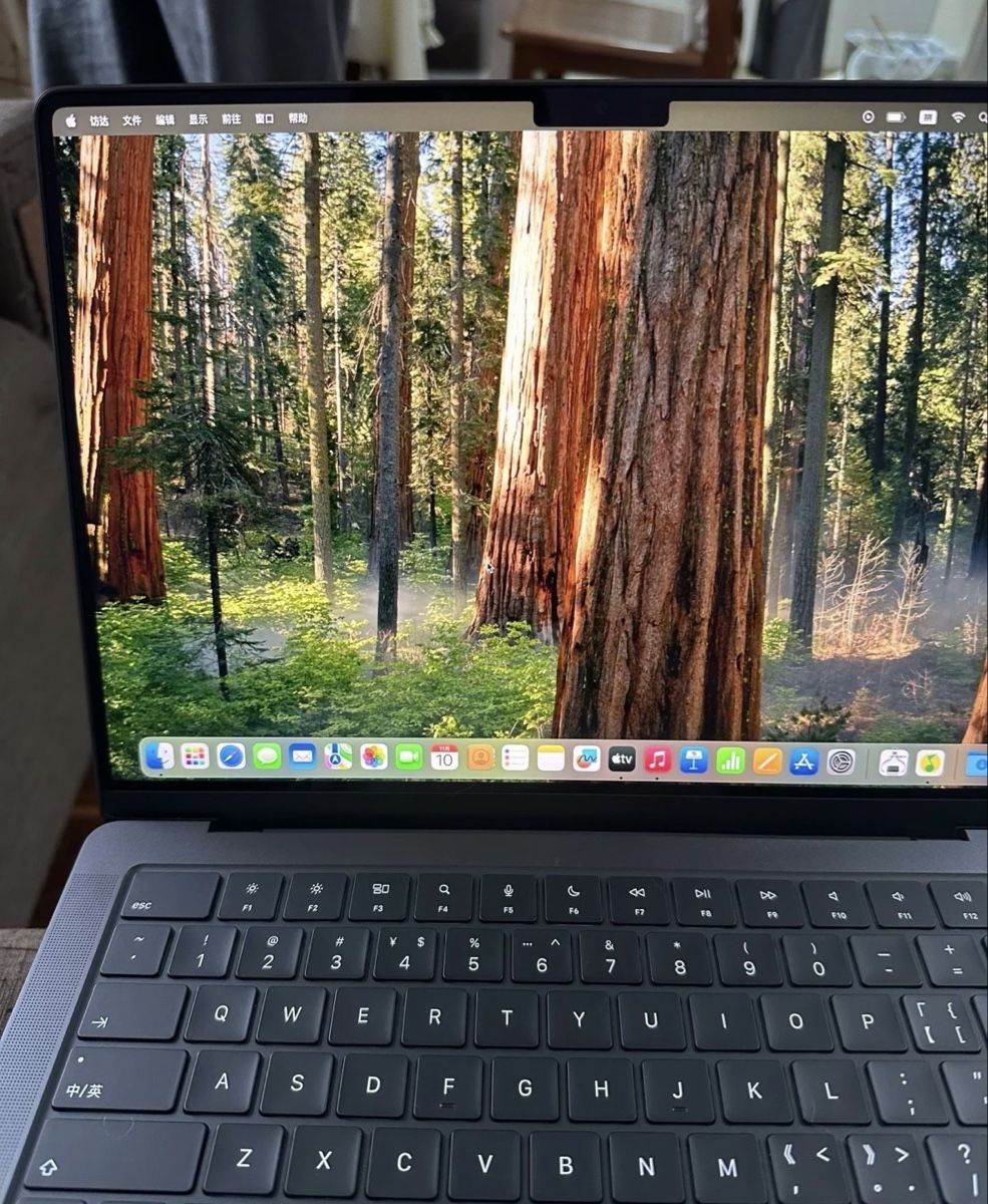 Apple Notebook: MacBook Pro M4 2024 – Nuovo (secondo la descrizione) da Sorens venduto da purpureta 3
