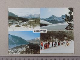 Brienzwiler, Ski, Winter
