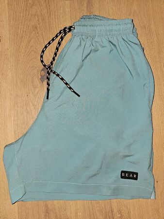 Turquoise sports shorts, size L, good condition