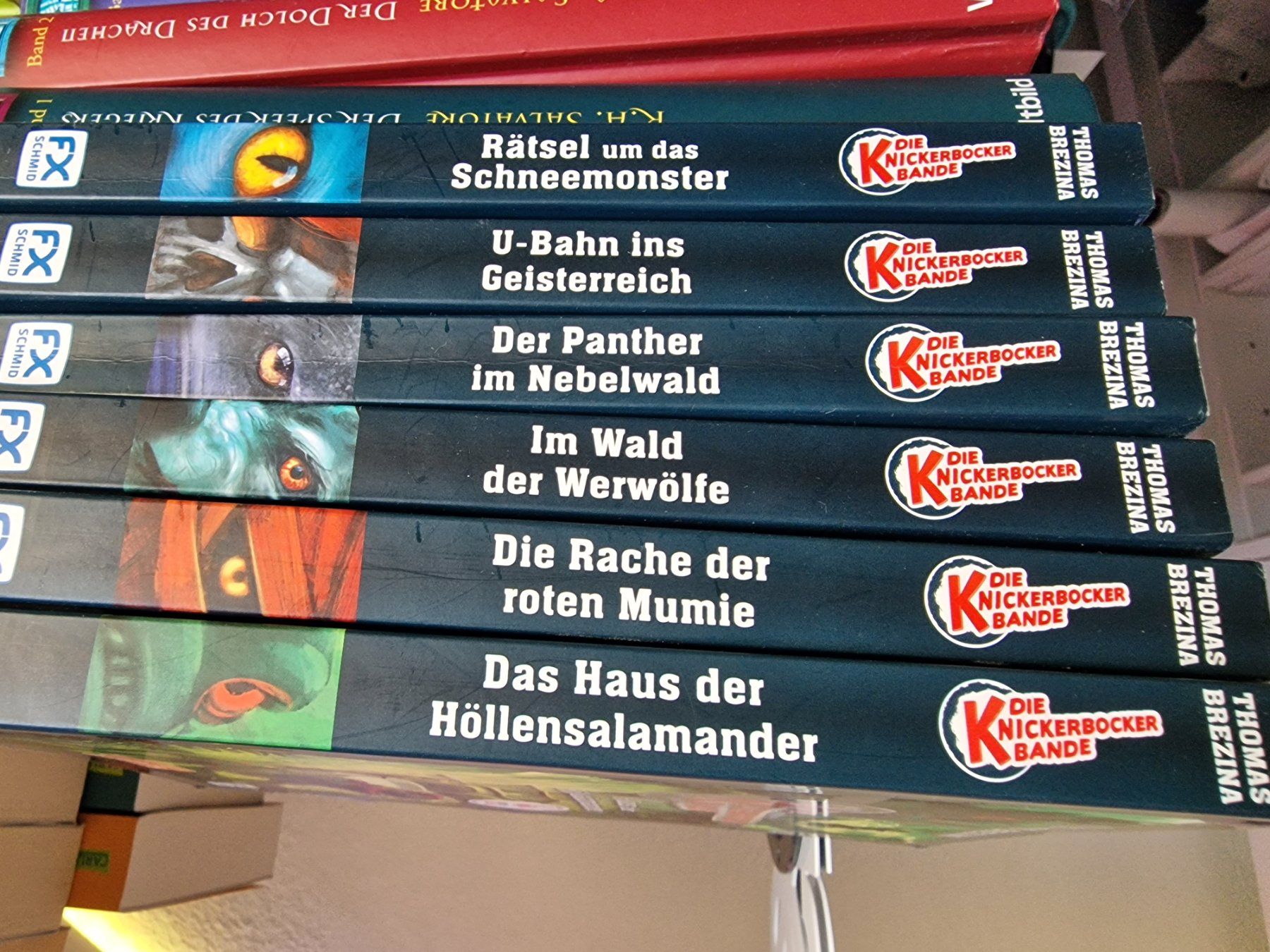 Libri: Die KnickerBockerBande Band, 6 Bûcher – Usato da Wildberg venduto da mantas07 1