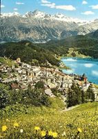 ST. MORITZ Blick gegen Piz Languard