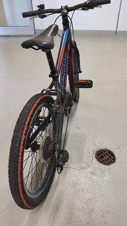 Biciclette: Kindervelo 20zoll top – Usato da Bottighofen venduto da TobiasKlein 2
