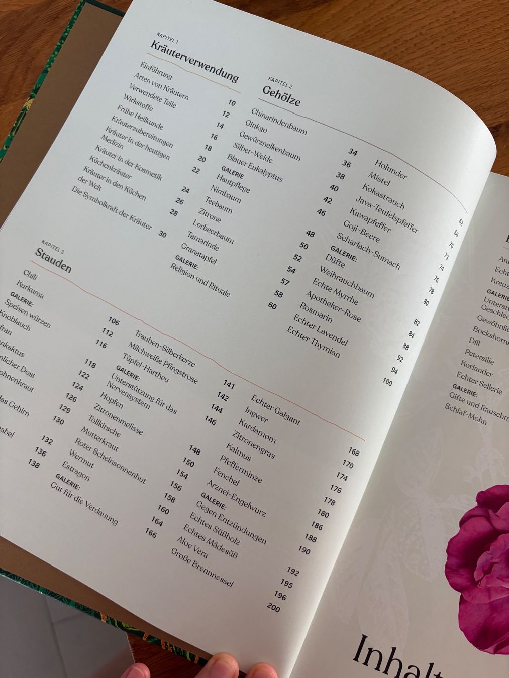 Libri: Buch - Heilpflanzen neu – Nuovo (secondo la descrizione) da Baar venduto da Colette18 2