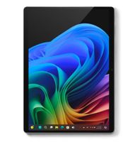 Surface Pro X |13"|16GB |512GB| LTE |Platin| WIN11 PRO