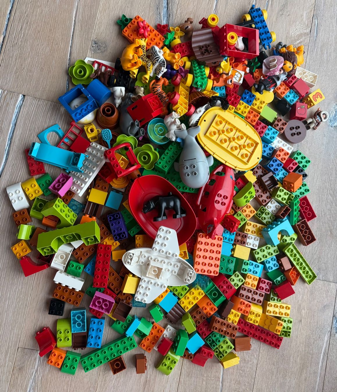 Lego Giocattoli: LEGO Duplo – Usato da Schneisingen venduto da Piggybag