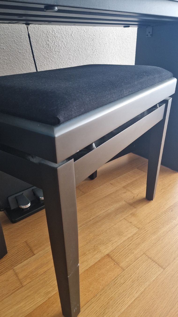 Thomann Strumenti musicali: Thomann DP-28 Plus Digital Piano Bundle (neuwertig) – Nuovo (secondo la descrizione) da Sisseln AG venduto da Andreas.Wa 2