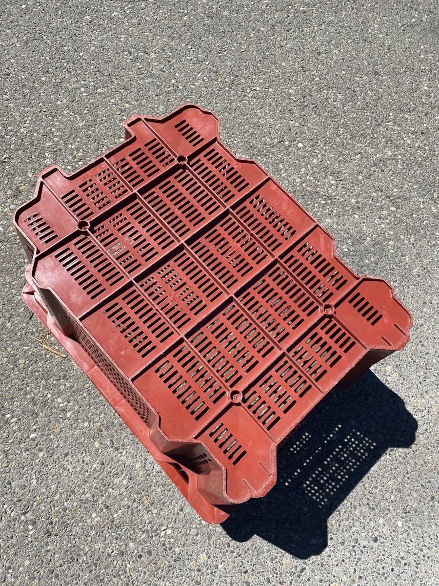 Casse di trasporto: 4er Set Kisten gross – Usato da Glattbrugg venduto da Pischte.Brockenhaus 5