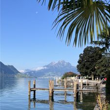 Profile image of Chiara19