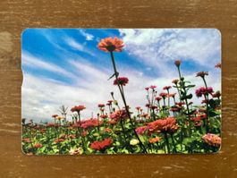 Telefonkarte VR China Blumen 100 Yuan