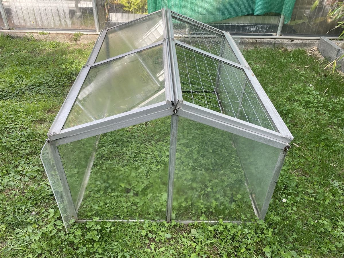 Piante & sementi: Frühbeet Aluminium – Usato da Dulliken venduto da Emys_1 2