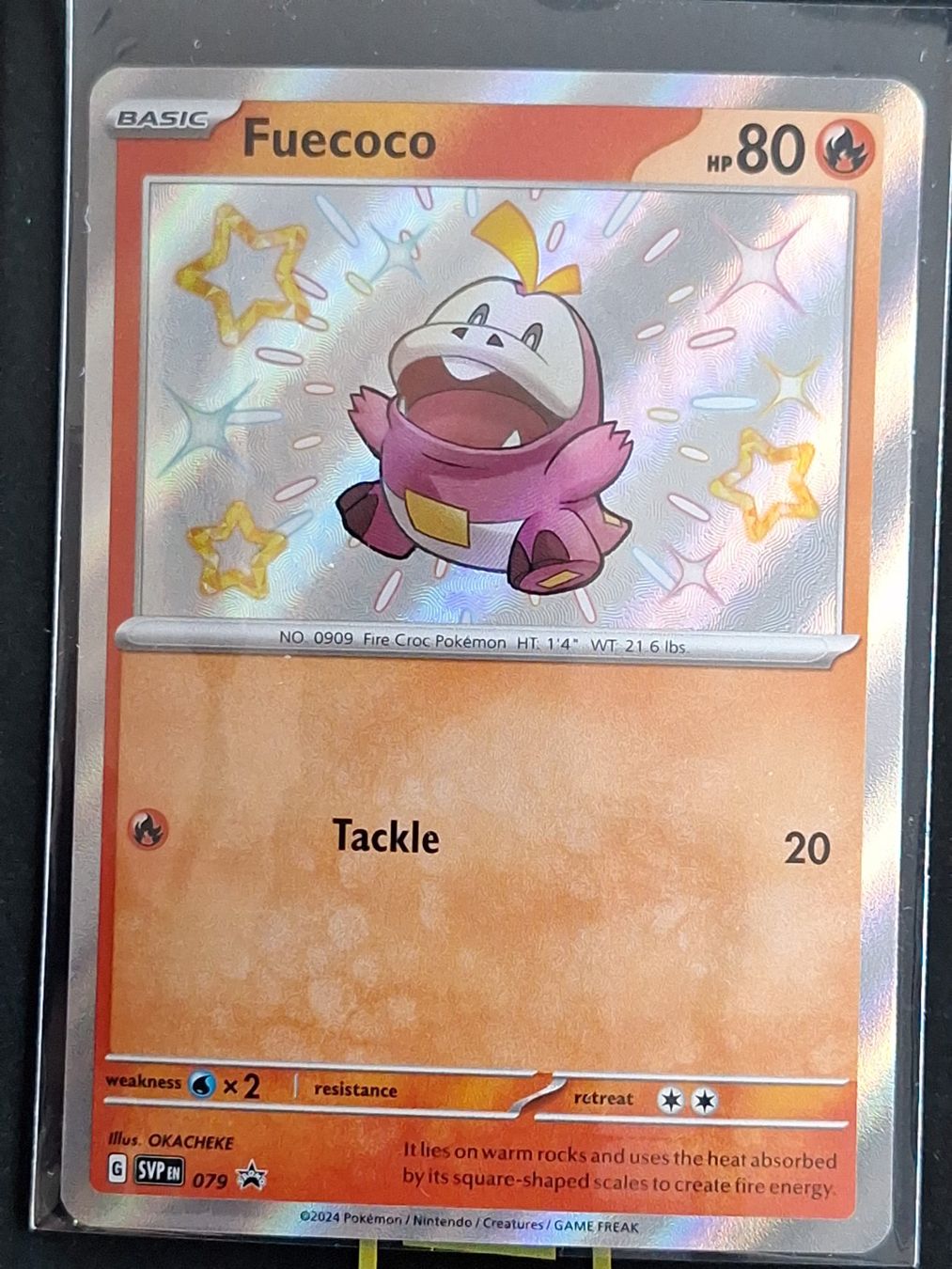 Pokémon Carte collezionabili: Shiny Fuecoco - Promo – Usato da Altstätten SG venduto da GGsGameshop