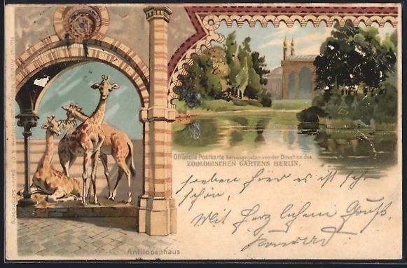 Ansichtskarten: Litho Berlin, Antilopenhaus m. Giraffen, – Gebraucht aus Berlin von bartko-reher
