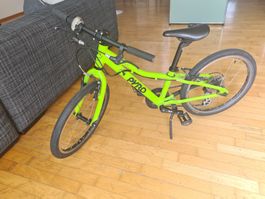Pyro TWENTY Fahrrad