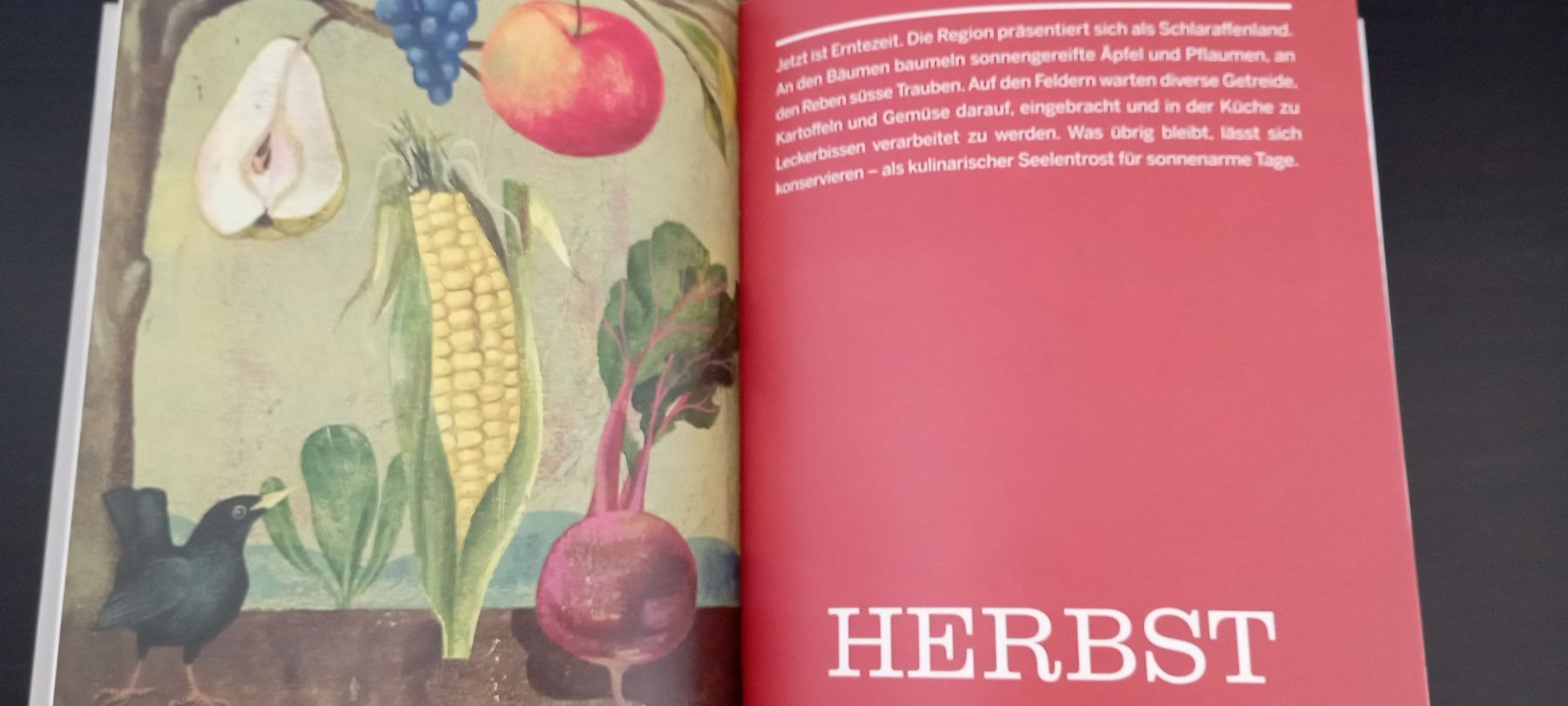 Libri: Migros - Green Gourmet – Usato da Allschwil venduto da pri_9lsr 3