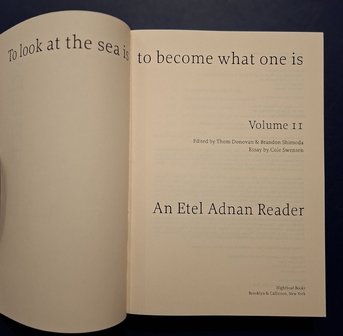 Livres: Etel Adnan Reader, Volume II, Nightboat Books – Neuf (Voir description) à Niederglatt ZH par Siegfried67 2